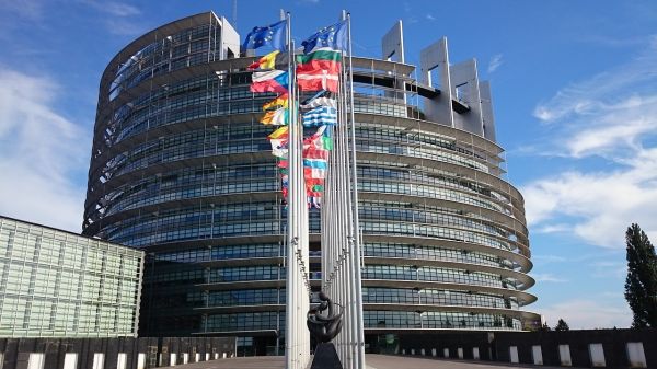 W Gminie Nadarzyn wybory do Parlamentu Europejskiego wygrała KE